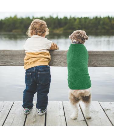 Hjumarayan Dog Sweater for Small Dogs | Thin Washable Elastic Striped Shirt for Chihuahua & Yorkshire Terrier - Emerald Green S - Buy Online on GoSupps.com