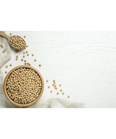 Organic Soya Beans No Additives No Preservatives Raw High Fibre High Protein Vegan GMO-Free - Perfect for Plant-Based Recipes - Thames Organic 500g 500 g (Pack of 1) - Buy Online on GoSupps.com