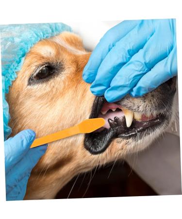 Sosoport 30 pcs Supplies for Pets Puppy Cleaning Dog Brush Small Handheld Tooth Pet Cat Teeth Portable 1 count (Pack of 1) Assorted Colorx3pcs - Buy Online on GoSupps.com