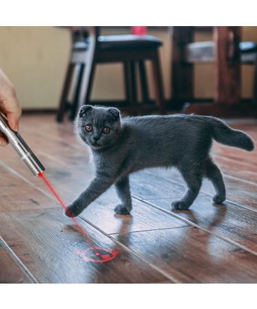 Toozey LED Pointer Cat & Dog Toy - USB Rechargeable 7-in-1 Interactive Pet Toy with 5 Patterns & 2 Bonus Mice | Shop Now for International Delivery! - Buy Online on GoSupps.com
