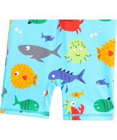 HUAANIUE Baby Girls One Piece Long Sleeve Swim Sun Protection Wetsuit UPF 50+ | Boys Bathing Beachwear | 0-6 Years | Long Bluesealife Swimwear - Buy Online on GoSupps.com