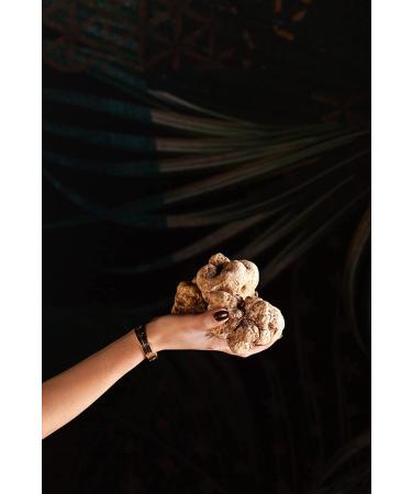 La Rustichella White Truffle Pate (280g/9.9oz) - Vegan, Gluten-Free, Cholesterol-Free - Buy Online on GoSupps.com