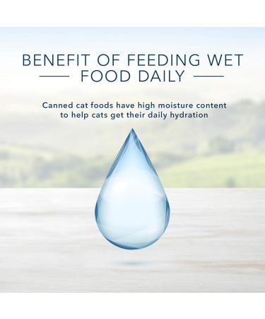 Blue Buffalo Pate Adult Beef Entree Wet Cat Food 5.5 oz Can Pack of 24 Beef Entr e 156 g (Pack of 24) - Buy Online on GoSupps.com