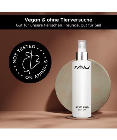 Chocolate Chips Pieces Ganache Decorations - Buy Online on GoSupps.com