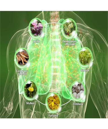 1/2/3Pcs Cordyceps Sinensis Extract - Lung Clearing Drops - Clean & Breathe Cordyceps Sinensis Herbal Lung Cleanse Spray-for Lung Discomfort 4 Weeks to Improve Clean Lungs 30ml/1fl.oz (3pcs) - Buy Online on GoSupps.com