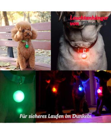O Lights - 6-Piece Safety Clips with 3 Illuminated Modes | Flashing Light for School Bags Pets Joggers & Camping - Free Shipping - Buy Online on GoSupps.com