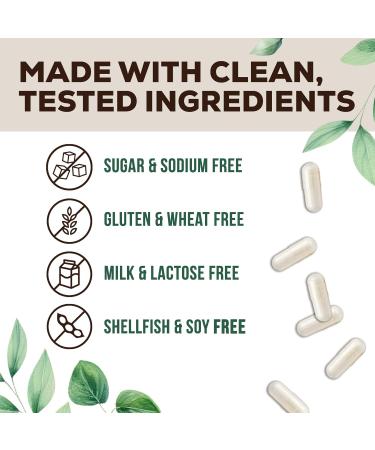 Probiotics 50 Billion CFU + 10 Strains - Max Absorption Daily Probiotic for Women & Men Lactobacillus Blend for Immune Support Prebiotics for Digestive & Gut Support Bottle In USA - 120 Capsules 120 Count (Pack of 1) - Buy Online on GoSupps.com