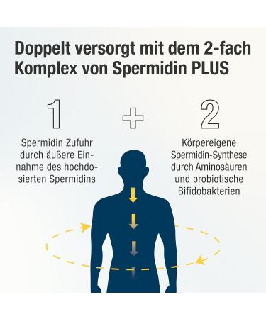 Spermidine Capsules with Wheat Germ Extract L-Arginine & Bifidobacteria Boost Your Body's Spermidine Synthesis Monthly Pack of 60 - Buy Online on GoSupps.com