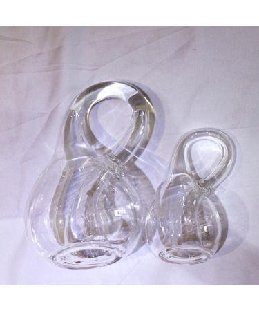 Felix Klein Bottle A Bottle That Looks like It 's Not Full of Water Creative Glass Bottle Clear Water Bottles Amazing Bottle for Home Decor Science Enthusiasts (Transparent 16cmx9cmx12cm) 16cmx9cmx12cm Transparent - Buy Online on GoSupps.com