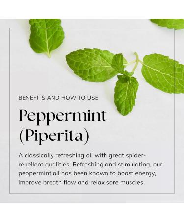 30ml Nikura Peppermint Essential Oil - 100% Pure Natural Oil for Hair Growth, Aromatherapy, and Spider Repellent | Vegan & UK Made - Buy Online on GoSupps.com