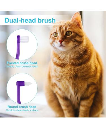 2-Piece Cat Toothbrush Set - Double-Sided Cleaning Brush for Kittens & Cats | Microbe Brush Head & Curved Handle | Deep Cleaning Accessories (Blue Purple) - Buy Online on GoSupps.com
