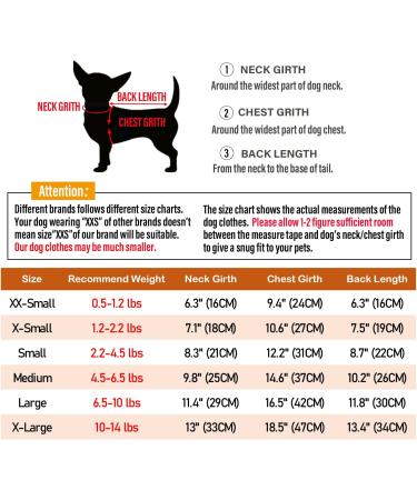 LOPHIPETS 100% Cotton Striped Dog Tee Shirt | Small Dogs Chihuahua Puppy Clothes | Tank Tee-Purple and Pink Strips | L Large 6.5-10 lbs - Buy Online on GoSupps.com