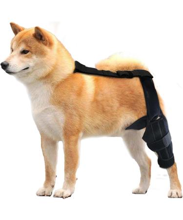 Dog Knee Support Brace | Dog ACL Knee Support Brace | Support Dog Knee Brace Neoprene Hip Brace Adjustable Traction Belt for Knee for Cruciate Ligament Injury for Torn ACL Leg M left - Buy Online on GoSupps.com