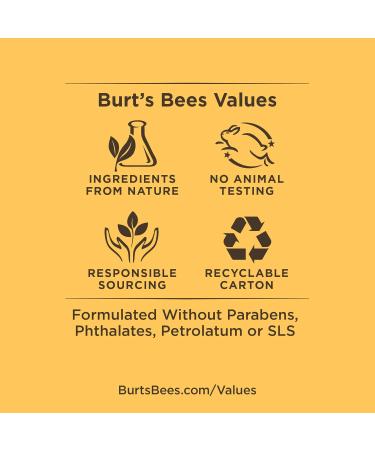 Burt's Bees 100% natural origin Moisturizing Lip Butter with Wild Rose and Berry 11.3 Grams - Buy Online on GoSupps.com