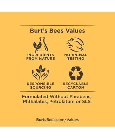 Burt's Bees Herbal Complexion Stick (Pack of 2) - Natural Acne Treatment - Buy Online on GoSupps.com