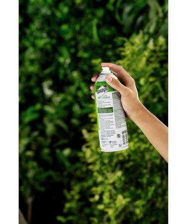 Scotchgard Outdoor Water Shield Fabric Spray - Odorless - Pack of 4 - 10.5 Fl Oz. - Buy Online on GoSupps.com