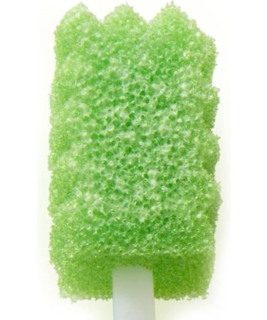 Sage Products Toothette Suction Toothbrush Kit - 6572EA | Buy Online for International Shipping - Buy Online on GoSupps.com