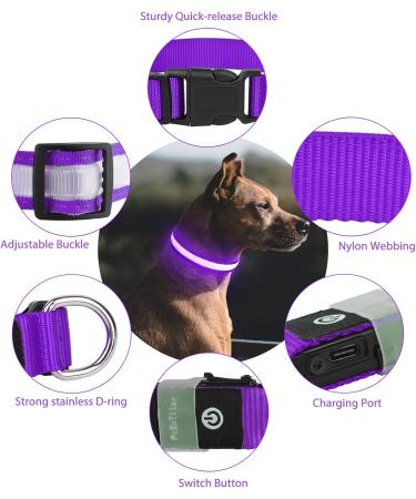 Luminous USB-C LED Dog Collar - Waterproof 7 Color Adjustable Light for Small & Medium Dogs (28-40cm/11-15.7in) - Purple - Buy Online on GoSupps.com