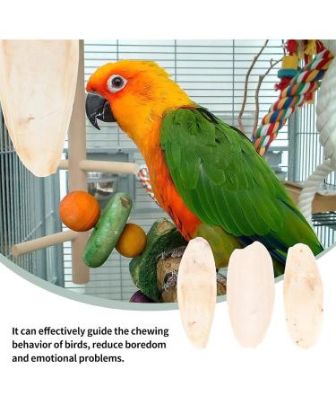 Buy Sepia Bowls & Shells for Turtles | 6-Piece Miniature Sepia Shells & Squid Bones for Birds | Premium Quality Decorative Bird Tools - Buy Online on GoSupps.com