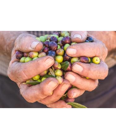 Sensitive & Dry Skin Soap Collection - 3 Pack with Soap Dish (Lavender) | Handmade in Ancient Crete Greece - Natural Skincare - Buy Online on GoSupps.com