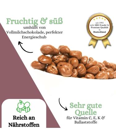  1001 Frucht 1001 Fruit Cranberries in Whole Milk with Noble Chocolate 250g | Chocolate Fruits | Whole Cranberry Berries Coated in Chocolate | Chocolate Fruits - Buy Online on GoSupps.com