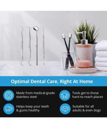Dental Care Kit for Plaque Removal - 4 Piece Stainless Steel Set with Dentist Mirror, Tartar Scrapers, and Tooth Picks - Buy Online on GoSupps.com