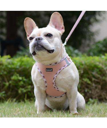 Doramio Step-In Dog Harness for Small Dogs & Cats - Reflective Breathable Safety with Leash - Anti-Training Harness in Champagne (M) - Buy Online on GoSupps.com