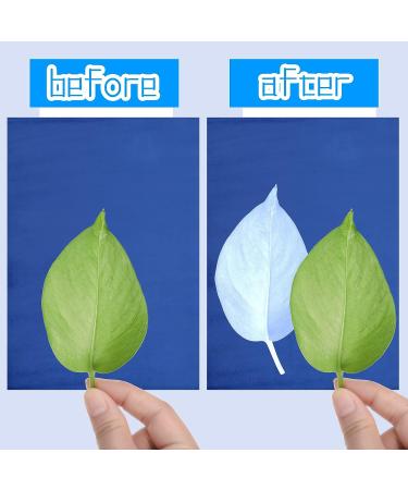 Cyanotype Paper Sun Art Kit - 60 Sheets, High Sensitive Solar Activated Paper for Nature Printing, Arts and Crafts - 5.8 x 8.3 Inch - Buy Online on GoSupps.com