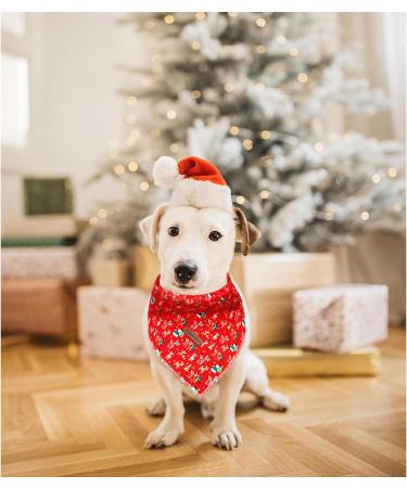 Shop Lionheart Glory Dog Haller Christmas Bib - Washable Soft Cotton Adjustable Neckerchief for Small Dogs - Red 1 Pack - Buy Online on GoSupps.com
