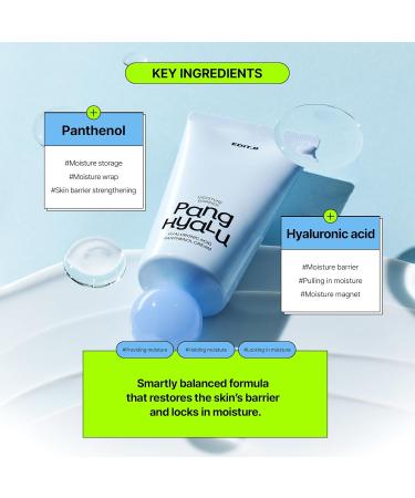 EDIT.B Moisture Barrier Pang Hyaluronic Acid Panthenol Cream Long-Lasting Deep Hydration Lightweight Facial Moisturizing Cream Soothing and Hydrating Korean Daily Skin Care 3.38 fl.oz (100ml) - Buy Online on GoSupps.com