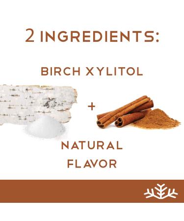 Cinnamon Keto Xylitol Candy Chips (3-Pack) | Sugar-Free, Low Carb, Diabetic-Friendly | Non-GMO, Vegan, GF & Kosher | 1.5oz Tin | Purest Cinnamon Candy (Pack of 3) - Buy Online on GoSupps.com
