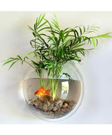 Sweetsea Hanging Wall Mounted Fish Bowl Betta Tank Aquarium - Clear (Medium) 0.5 Gallon - Buy Online on GoSupps.com