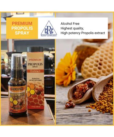 Dr.K&C HNHusa Premium Propolis Spray Throat Sore Relief 60 ml Antioxidant Immune System Support Soothing Natural Bee Honey Propolis 2pk 2 Pack - Buy Online on GoSupps.com