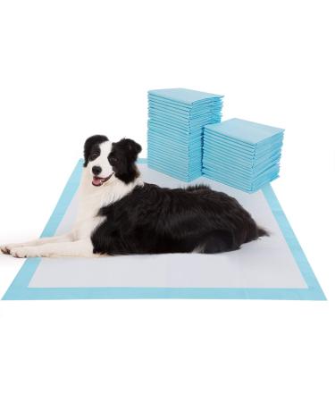 BESTLE Extra Large Pet Training and Puppy Pads Pee Pads for Dogs 28"x34" Super Absorbent & Leak-Proof 40-Count