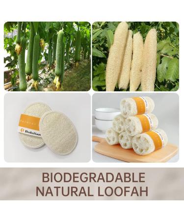Organic Loofah Sponge 3 Pack - Natural & Eco-Friendly Body Scrubber for Shower - Biodegradable Exfoliating Pad for Dead Skin Removal - Buy Online on GoSupps.com