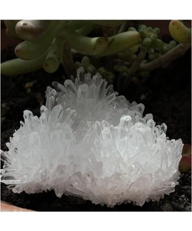 Natural Clear Crystal Cluster Minerals Reiki Stone Home Furnishing Decoration (Size : 400-500g) - Buy Online on GoSupps.com