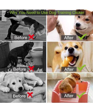 Dog Clicker MRKTAO 5 PCS Dog Training Clickers with Wrist Straps and 1 PCS Dog Whistle Clickers for Puppy Cat Bird Horse Training cat clicker - Buy Online on GoSupps.com