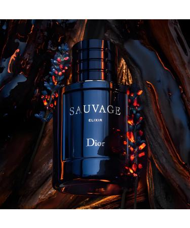 Dior Christian Sauvage Elixir For Men 3.4 Ounce 3.4 Ounce (Pack of 1) - Buy Online on GoSupps.com