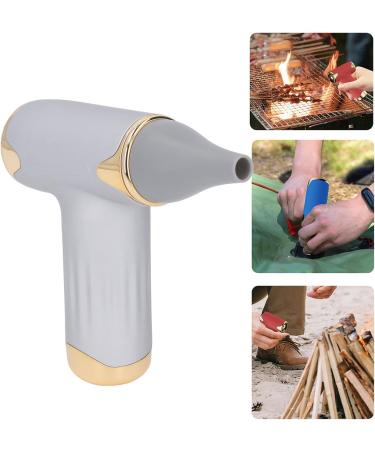 60W Electric Hair Dryer High Speed 4 Levels Wind Bladeless 1100mAh Battery Handheld Dust Blower (Silver) - Buy Online on GoSupps.com