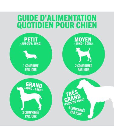 JOINTSURE Young & Active Joint Supplements for Dogs and Puppies Helps with Joint Stiffness 60 Tablets - High in Glucosamine & Green Lipped Mussel - Buy Online on GoSupps.com