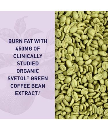 Organic ACV Diet Gummies by Garden of Life - 63 Vegan Gummies with Svetol Green Coffee Bean Extract for Weight Loss & Detox - Buy Online on GoSupps.com