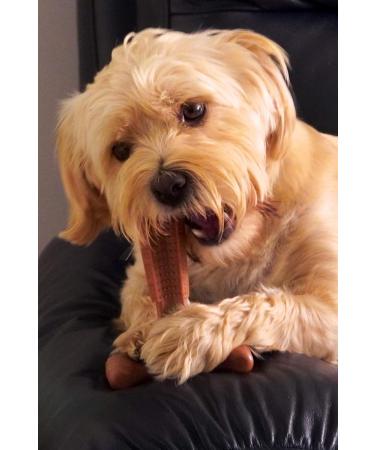 Bamboodles T Bone Dog Chew - Medium Chicken Flavor for Aggressive Chewers - Buy Online on GoSupps.com