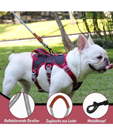 Multi-Purpose Dog Harness & Leash Set - Outbreak-Proof Anti-Train Safety Harness for Small & Medium Dogs (Black M) - Buy Online on GoSupps.com