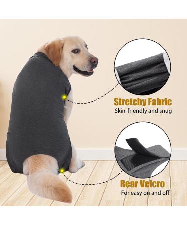 Axcimond Dog Recovery Suit Dog Onesie After Surgery Female Male Small Medium Large Dogs Surgical Recovery Suit Doggie Onesie Prevent Licking Spay Suit Chien Post Operation Dog Cone Collar Alternative M Grey - Buy Online on GoSupps.com