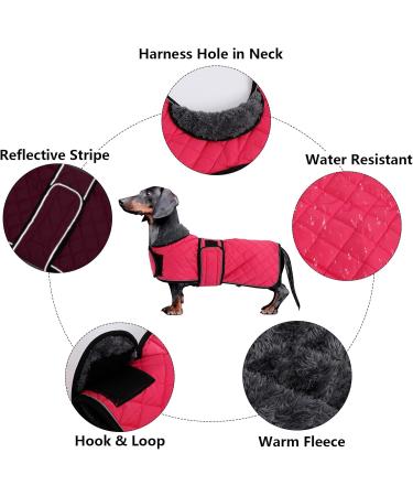 Minezi Dachshund Winter Jacket - Waterproof Dog Coat with Wool Lining Adjustable Straps - Pink XL (55-58cm) - Ideal Dog Clothing for Cold Weather - Buy Online on GoSupps.com