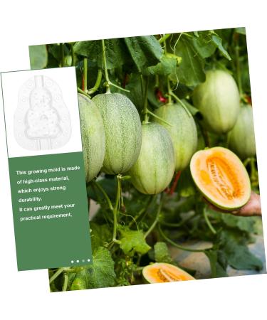 Yardwe 9 Pcs Vegetable Growing Mold Strawberry Accessories Small Fruit Mold Watermelon Multifunction 9x8cmx3pcs Transparentx3pcs - Buy Online on GoSupps.com