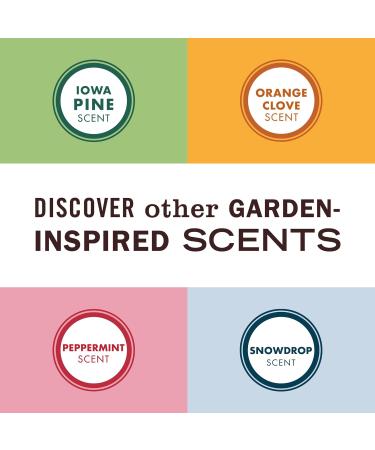 MRS. MEYER'S CLEAN DAY Snowdrop Soy Tin Candle - 12 Hour Burn Essential Oils Eco-Friendly 2.9 oz - International Shipping Available - Buy Online on GoSupps.com