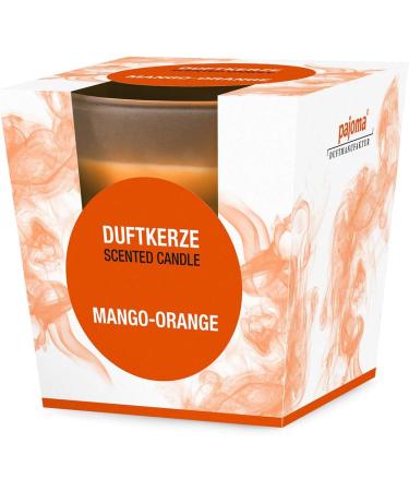Pajoma Mango-Orange Fragrance Candle Set | 4x120g | Premium Quality 25 Hour Burn Time Elegant Gift Packaging - Buy Online on GoSupps.com