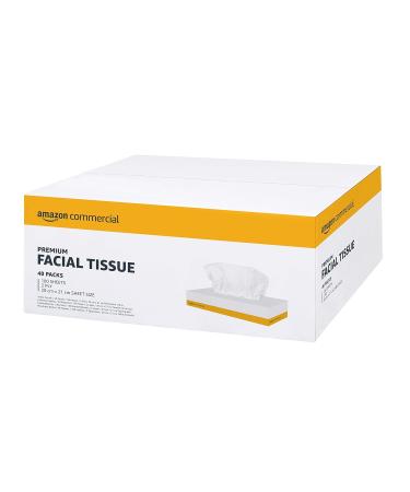 AmazonCommercial 417627 2-Ply Facial Tissues Pack of 40 4000 tissues & Dr. Beckmann Carpet Stain Remover | Removes New and Dried-in Stains | Includes Applicator Brush - Buy Online on GoSupps.com
