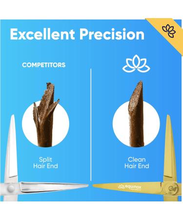 Equinox International Hair Cutting Scissors - Premium Japanese Stainless Steel - Professional Hairdressing Scissors for Men Women & Salons - Gold Finish - Buy Online on GoSupps.com